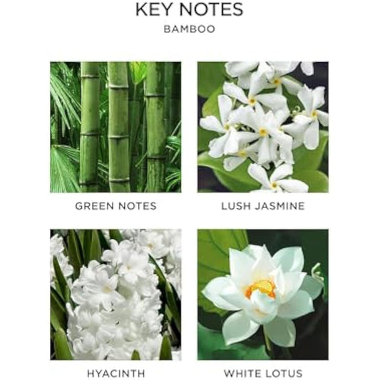 NEST New York Smart Home Fragrance Diffuser Refill Smart Vials, Bamboo - Set of 2 - Designed for NEST x Pura 3 and NEST x Pura 4 Diffusers - Cruelty Free, Vegan