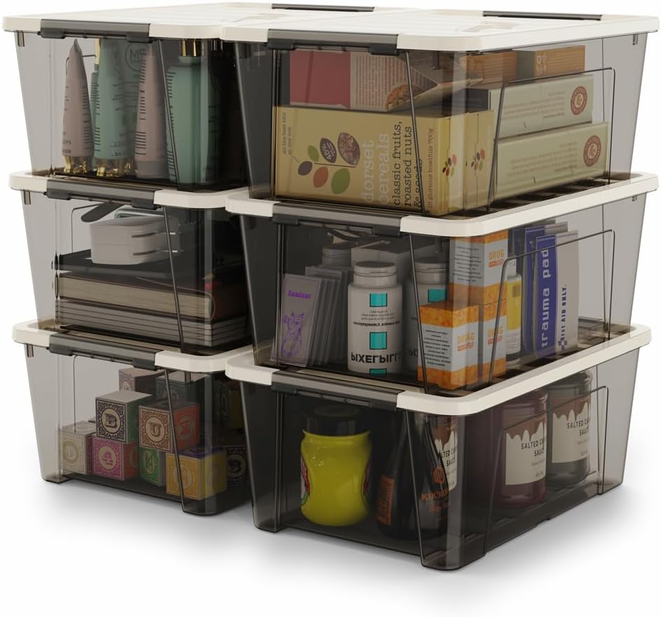 WYT Clear Storage Latch Bins, 6-Pack Storage Organizer Box with Handle and Lids, 5-Litre