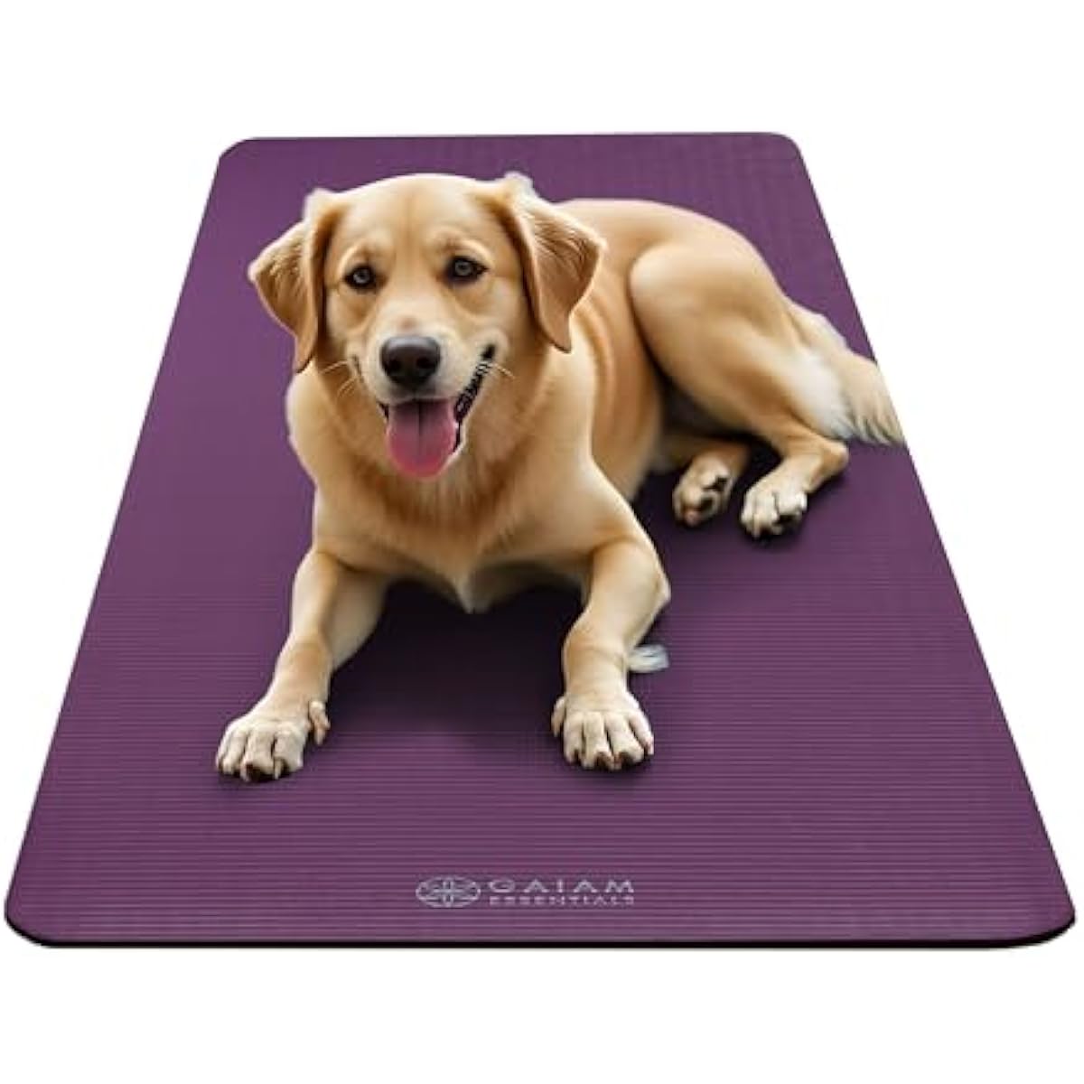 Gaiam Yoga Mat, Pilates & Exercise Mat, Thick 2/5" (10mm) Workout Mat with Easy-Cinch Carrying Strap for Home & Gym Workouts