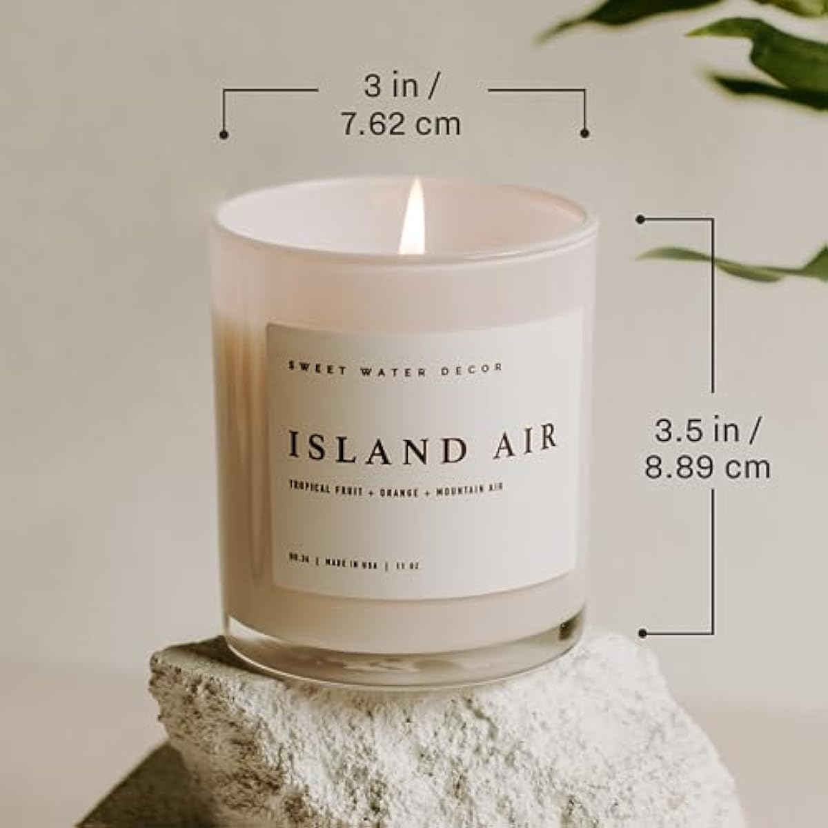 Sweet Water Decor Salt and Sea Candle - Sea Salt, Citrus, Amber, Musk, Beach Scented Soy Candles for Home - 11oz White Glass Jar + Wood Lid, 50+ Hour Burn Time, Made in the USA