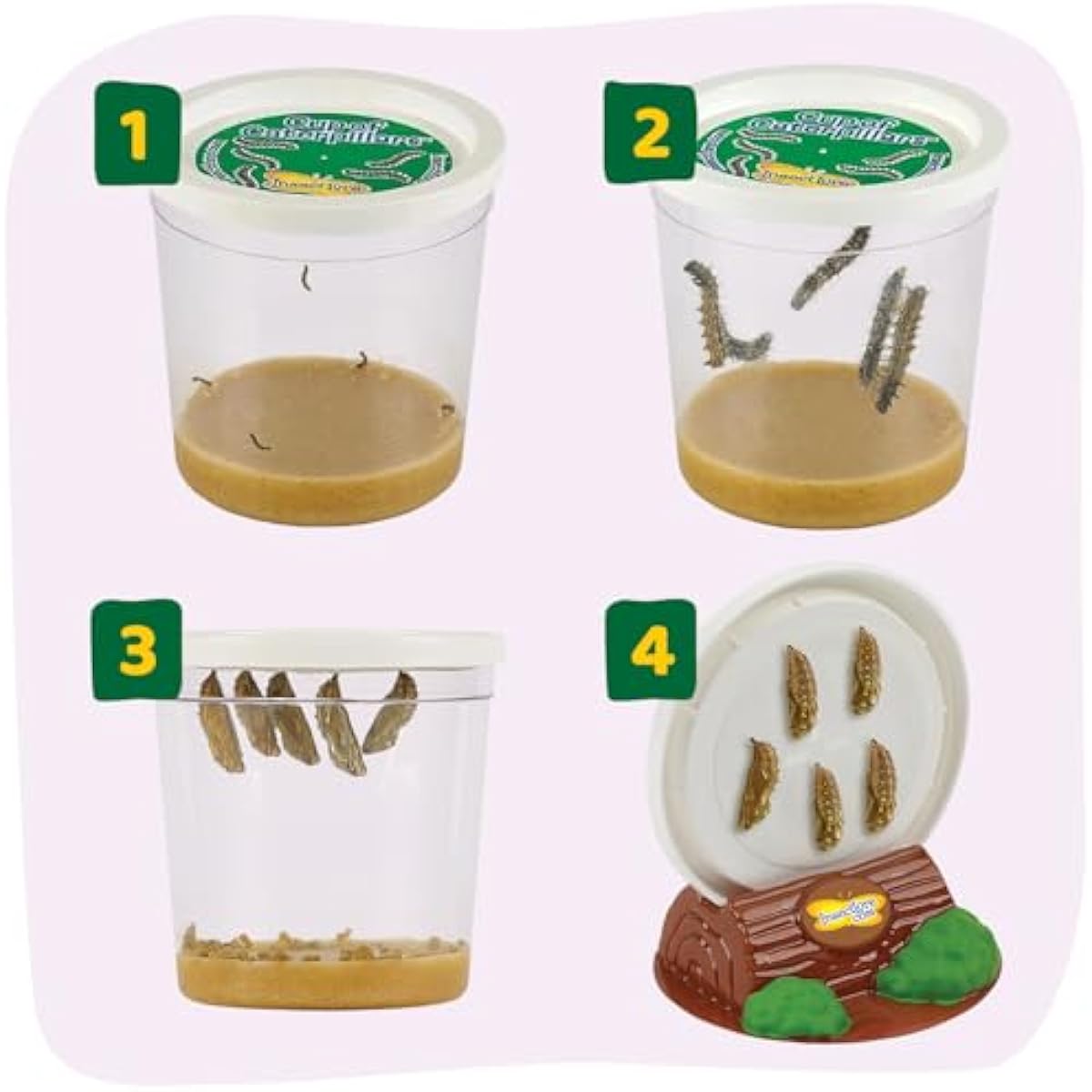 Insect Lore Raise and Release Butterfly Garden Kit – Caterpillar Habitat with redeemable Voucher – STEM-accredited Butterfly Growing Kit for Kids, Classrooms, and Homeschool Learning