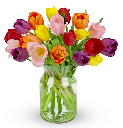 Benchmark Bouquets - Rainbow Tulips - Fresh Flowers for Delivery - Real Flowers - Birthday Flowers for Women - Birthday Flower Bouquet - Congratulations Gift - Glass Vase Included (20 Stems)
