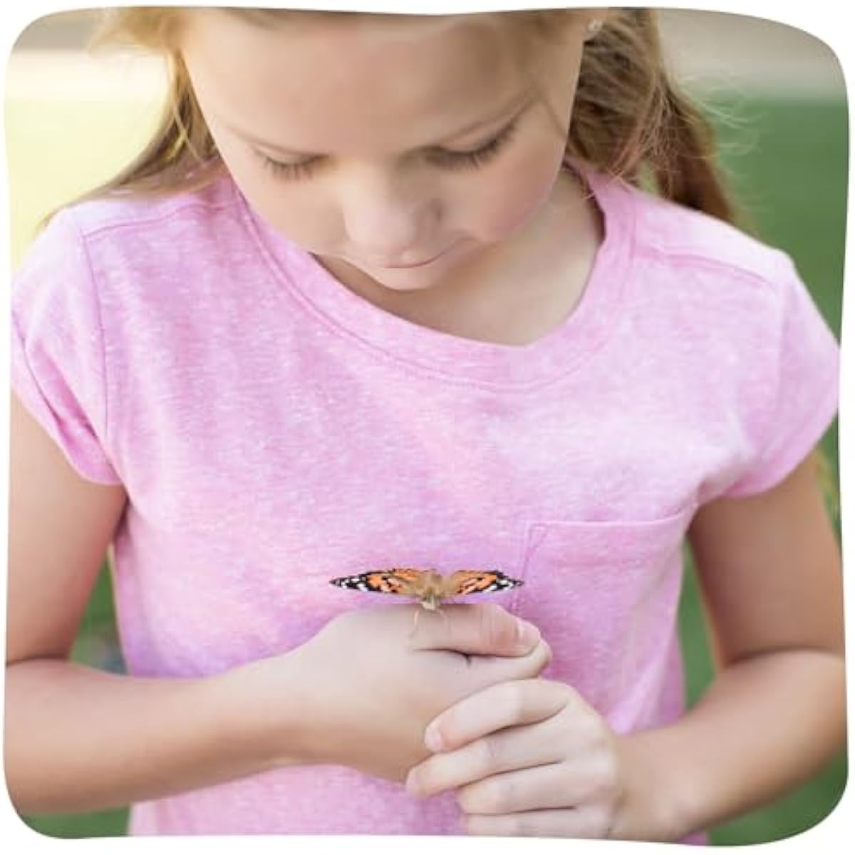 Insect Lore Raise and Release Butterfly Garden Kit – Caterpillar Habitat with redeemable Voucher – STEM-accredited Butterfly Growing Kit for Kids, Classrooms, and Homeschool Learning