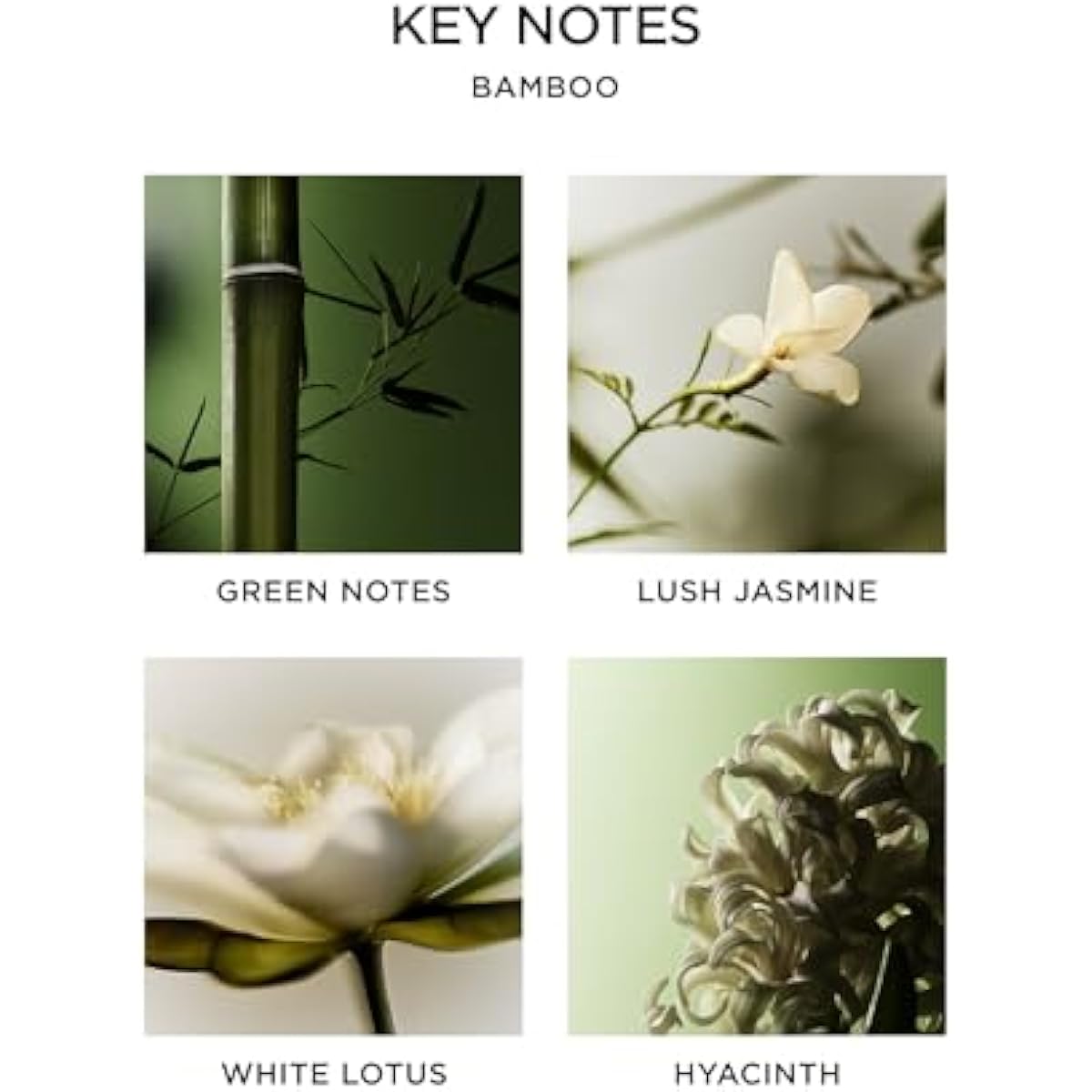 NEST New York Reed Diffuser Liquid Refill, Bamboo - 5.9 fl oz - Fragrance for Up to 90 Days - Flame Free