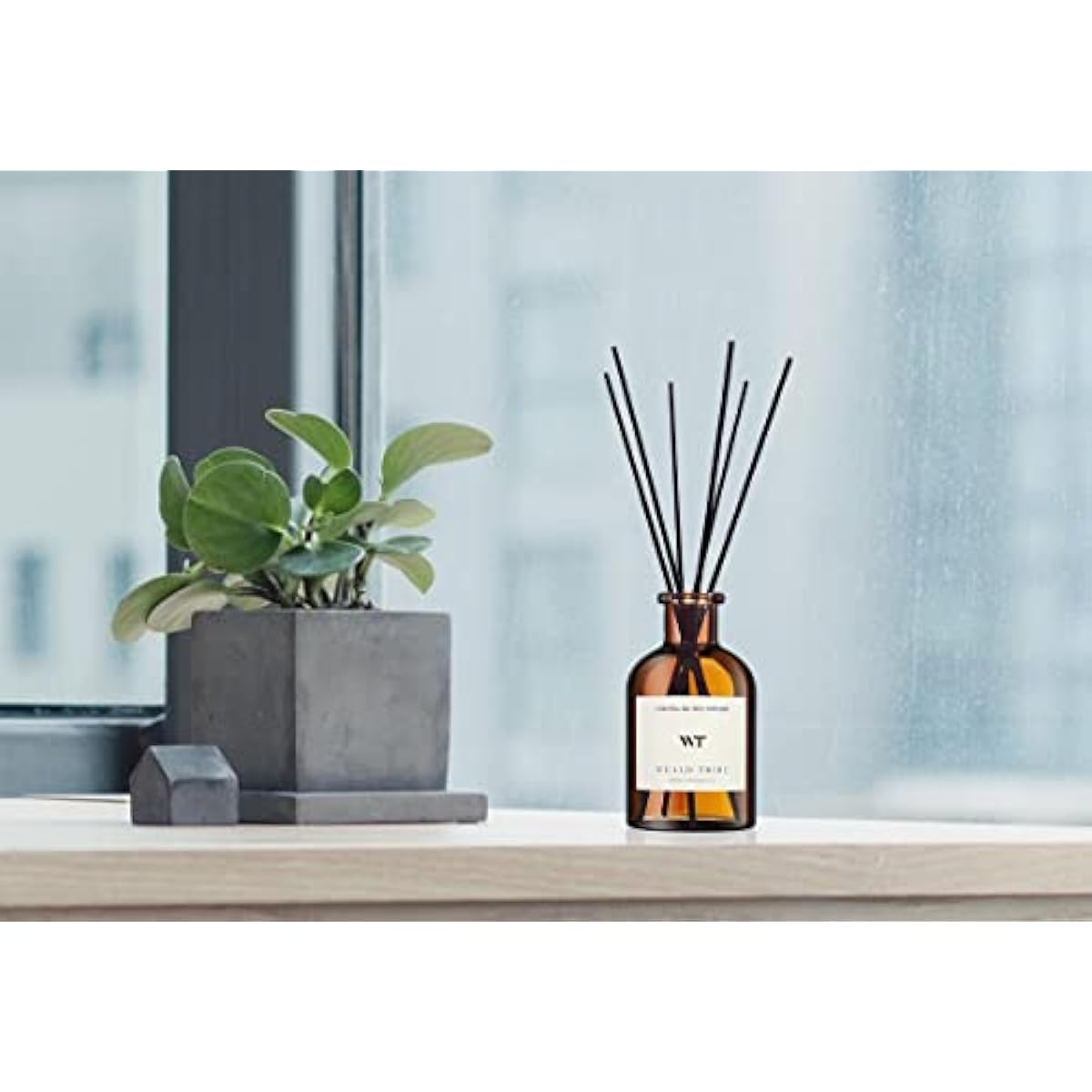 WEALD TRIBE Flower Reed Diffuser Set Eucalyptus & Lavender Scent For Bathroom Accessories Shelf Decor & Air Fresheners, Sticks Defusers With 4.0 fl oz Essential Oils, House Bedroom Office Decor & Gift