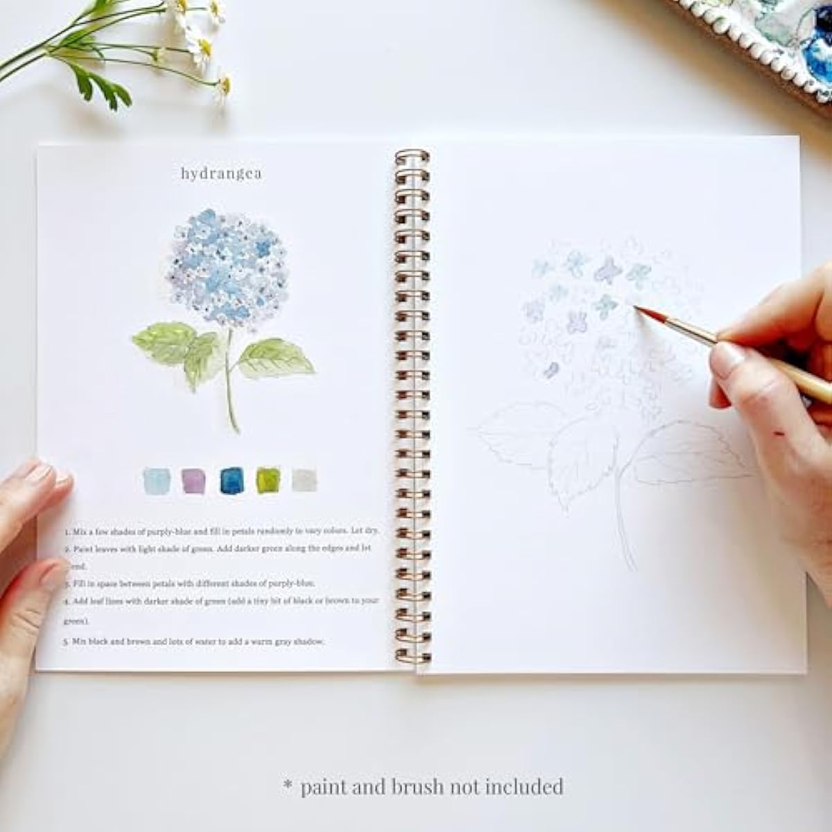 Flowers Watercolor Workbook by Emily Lex Studio, 12 Beginner Friendly Sketched Illustrations, Lay Flat Spiral Pages, 6.5 x 9 inch, 120lb Watercolor Paper