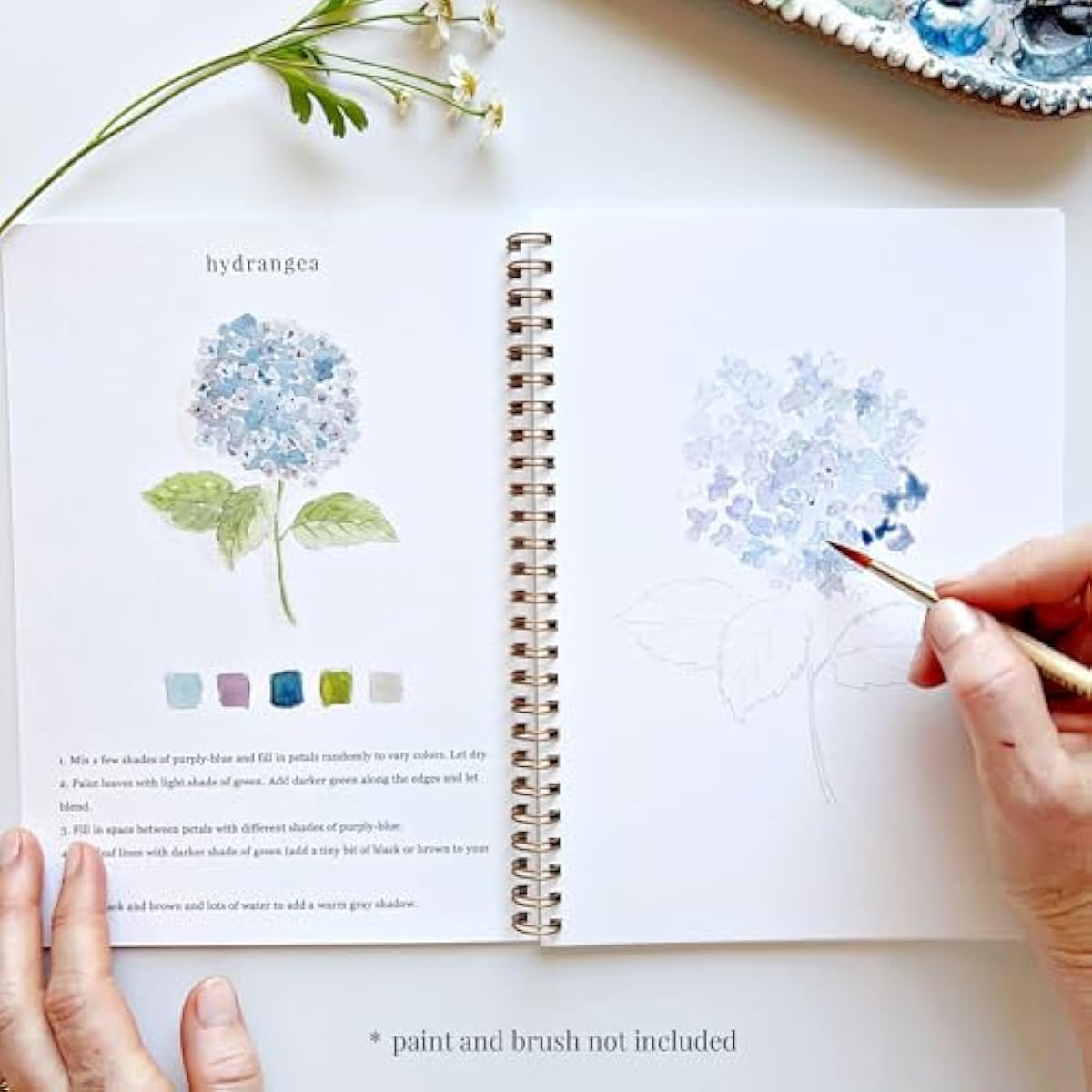 Flowers Watercolor Workbook by Emily Lex Studio, 12 Beginner Friendly Sketched Illustrations, Lay Flat Spiral Pages, 6.5 x 9 inch, 120lb Watercolor Paper