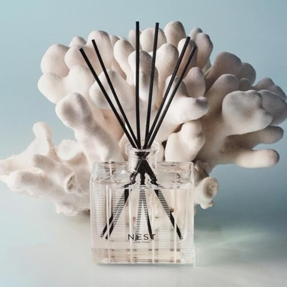 NEST New York Reed Diffuser, Ocean Mist & Sea Salt - 5.9 fl oz - Fragrance for Up to 90 Days - Reusable, Refillable Glass Holder - Includes 8 All-Natural Reed Sticks - Flame Free