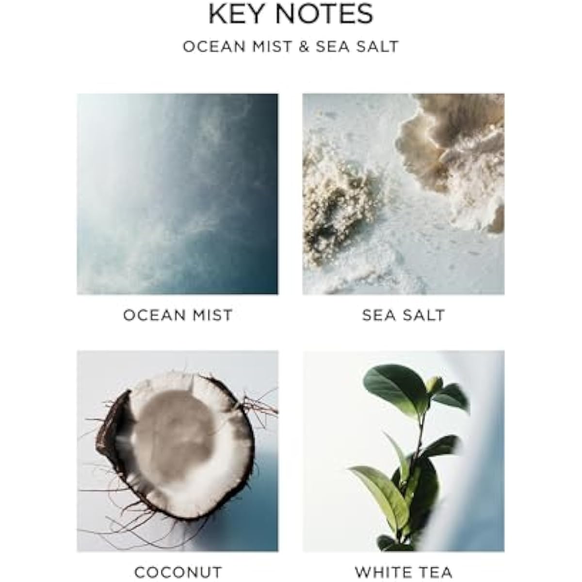 NEST New York Reed Diffuser, Ocean Mist & Sea Salt - 5.9 fl oz - Fragrance for Up to 90 Days - Reusable, Refillable Glass Holder - Includes 8 All-Natural Reed Sticks - Flame Free