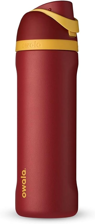 Owala Disney Princess FreeSip Insulated Stainless Steel Water Bottle with Straw for Sports and Travel, BPA-Free Sports Water Bottle, 24 oz, Cinderella