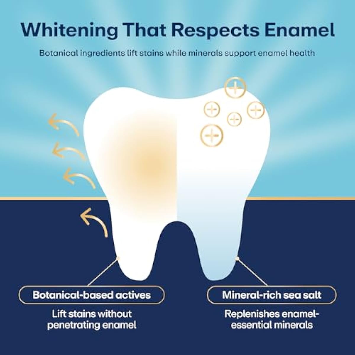 Lumineux Teeth Whitening Strips - 21 Treatments (3 Months) - Peroxide Free - Enamel Safe for Whiter Teeth - Whitening Without The Sensitivity - Dentist Formulated - Sensitivity