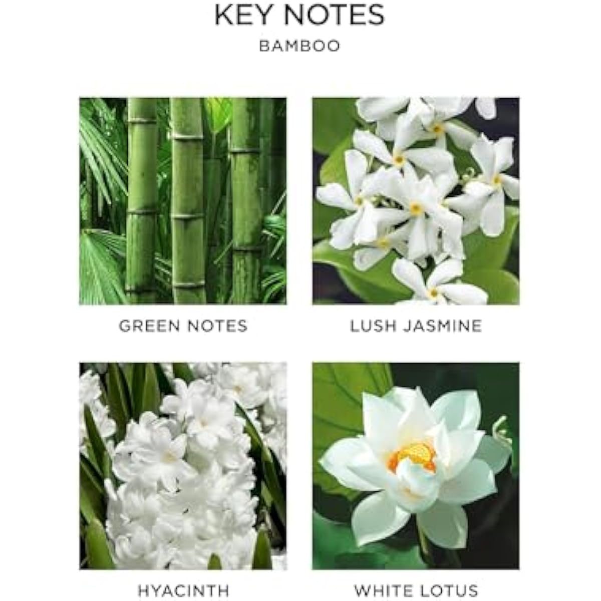 NEST New York Smart Home Fragrance Diffuser Refill Smart Vials, Bamboo - Set of 2 - Designed for NEST x Pura 3 and NEST x Pura 4 Diffusers - Cruelty Free, Vegan