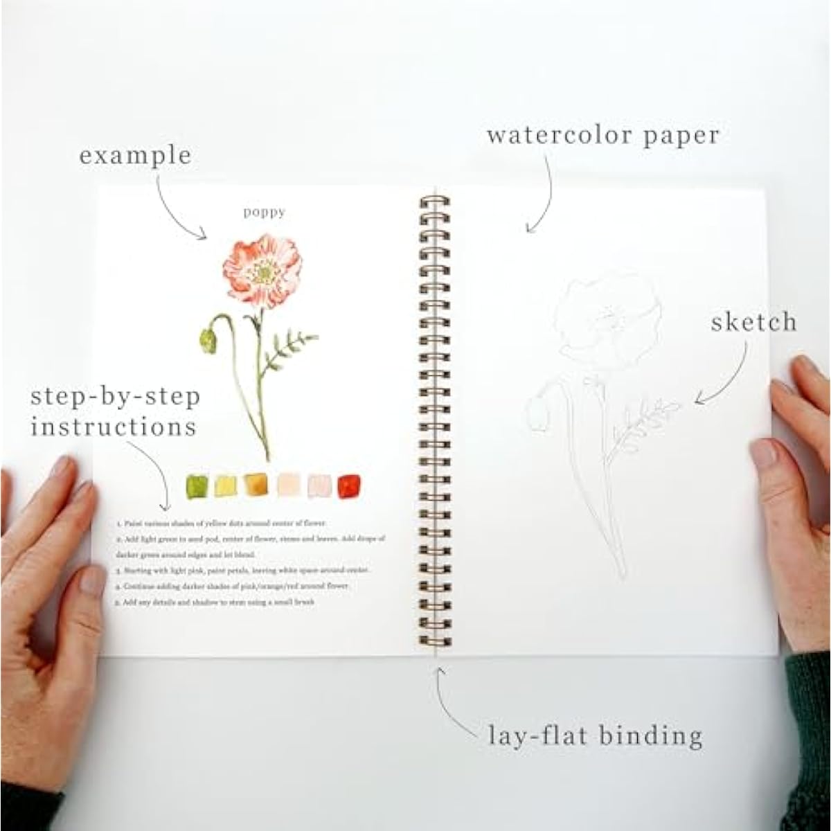 Flowers Watercolor Workbook by Emily Lex Studio, 12 Beginner Friendly Sketched Illustrations, Lay Flat Spiral Pages, 6.5 x 9 inch, 120lb Watercolor Paper