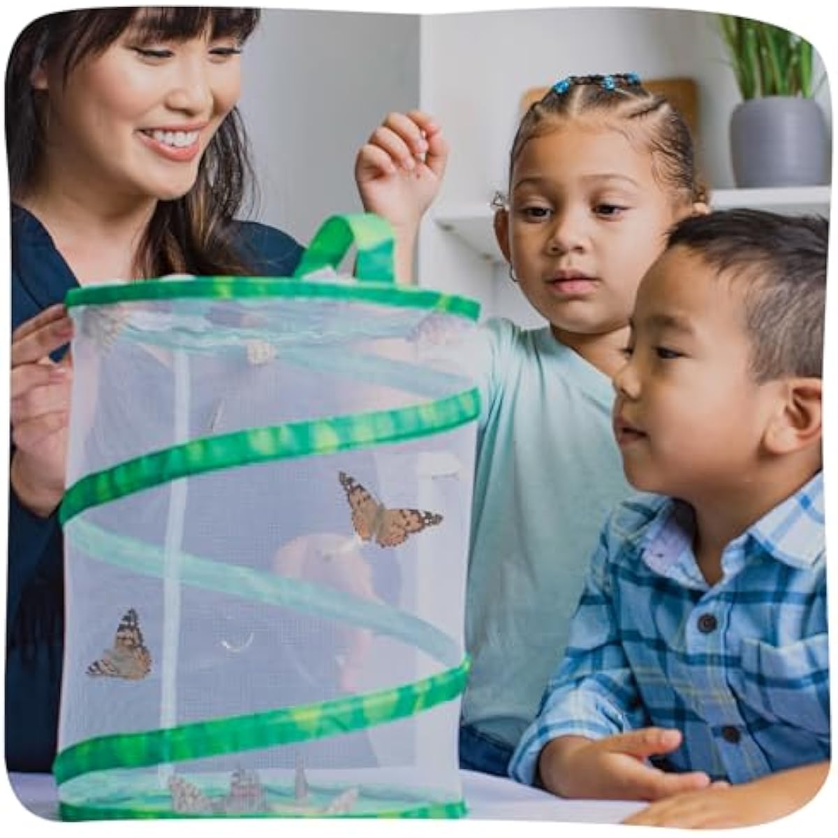 Insect Lore Raise and Release Butterfly Garden Kit – Caterpillar Habitat with redeemable Voucher – STEM-accredited Butterfly Growing Kit for Kids, Classrooms, and Homeschool Learning