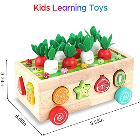 Toddlers Montessori Wooden Educational Toys for Baby Boys Girls Age 1 2 3 Year Old, Shape Sorting Toys 1st One First Birthday Girl Gifts for Kids 1-3, Wood Preschool Learning Fine Motor Skills Game