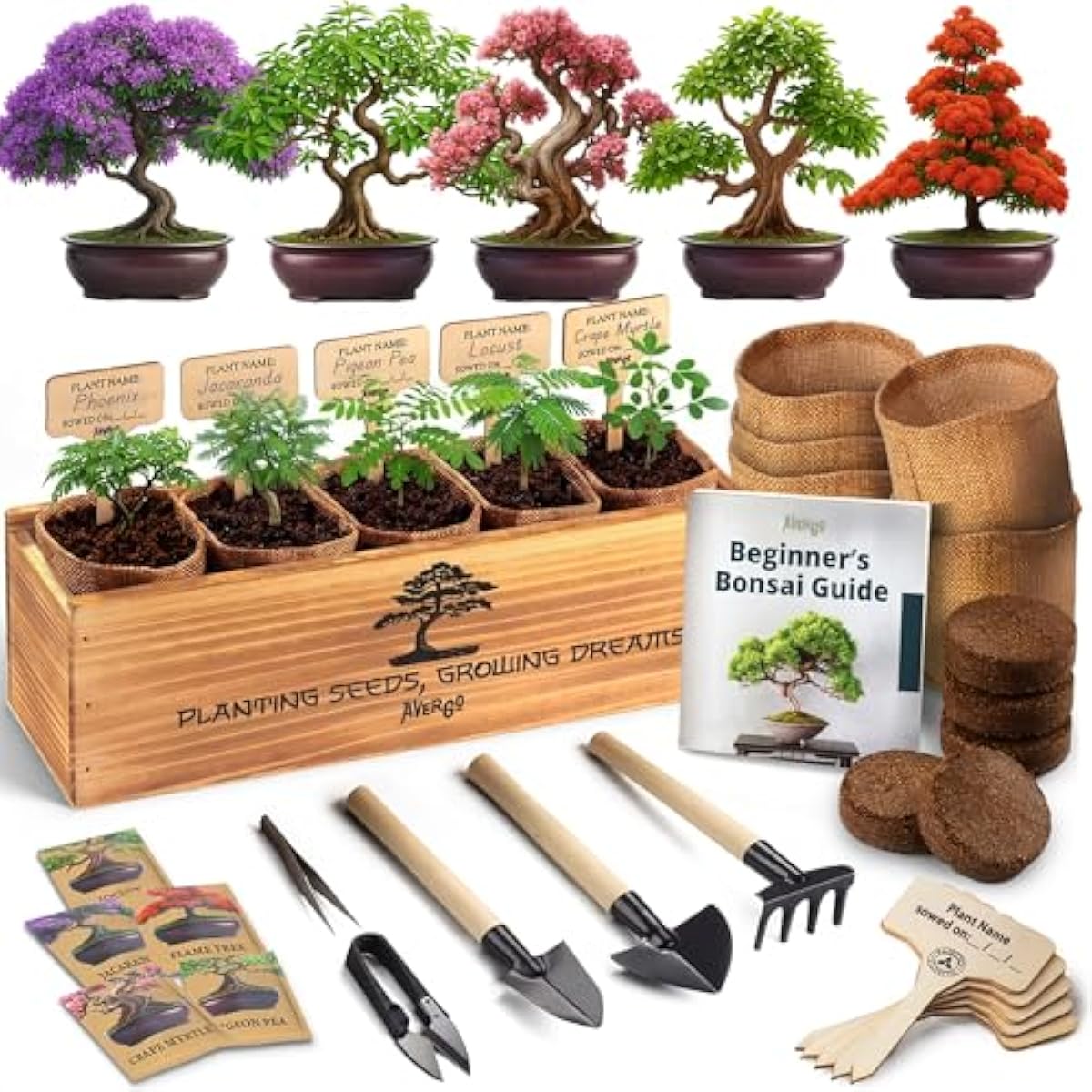 Bonsai Tree Kit for Beginners – 5X Unique Japanese Bonzai Trees | Complete Indoor Bonsai Starter Kit for Growing Bonsai Plants with Tools & Planters – DIY Gardening Gifts for Women & Men