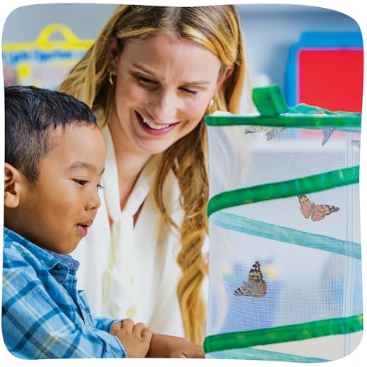 Insect Lore Raise and Release Butterfly Garden Kit – Caterpillar Habitat with redeemable Voucher – STEM-accredited Butterfly Growing Kit for Kids, Classrooms, and Homeschool Learning