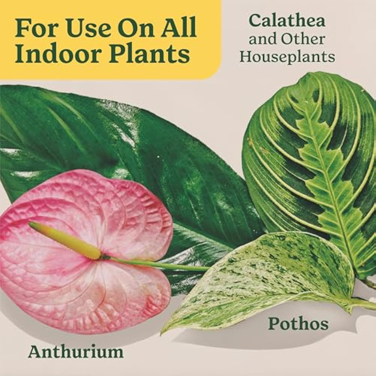 Miracle-Gro Indoor Plant Food for All Plants, Liquid Plant Food for Houseplants, Flowers, Vegetables, Herbs, and More, 8 fl. oz., 2-Pack