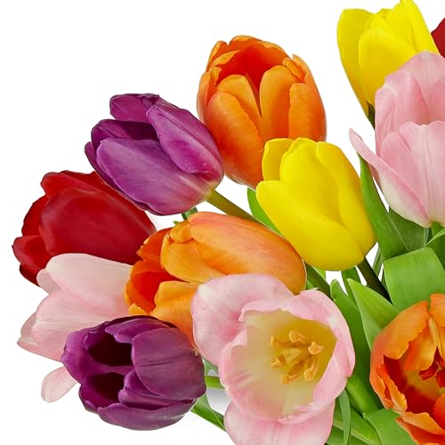 Benchmark Bouquets - Rainbow Tulips - Fresh Flowers for Delivery - Real Flowers - Birthday Flowers for Women - Birthday Flower Bouquet - Congratulations Gift - Glass Vase Included (20 Stems)