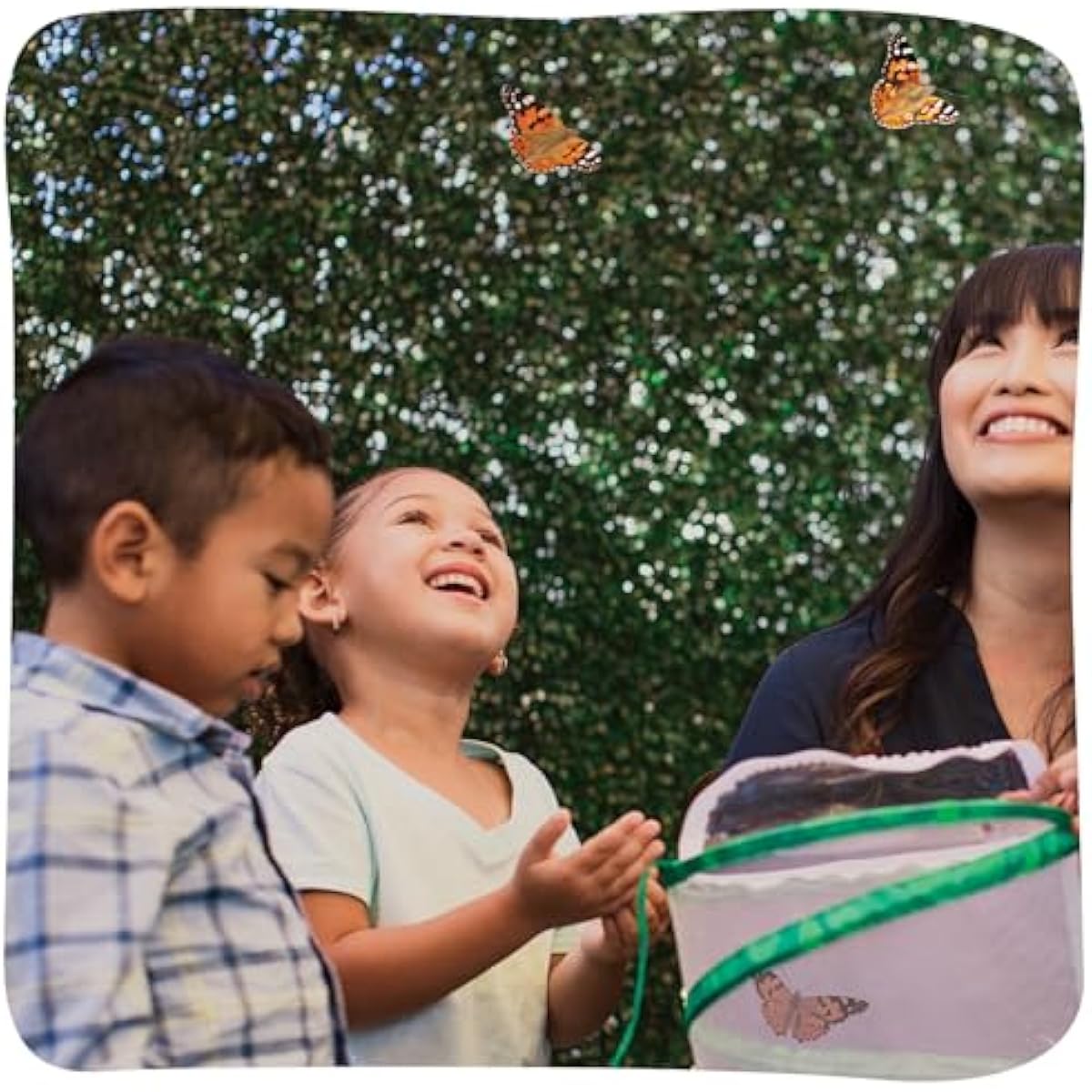 Insect Lore Raise and Release Butterfly Garden Kit – Caterpillar Habitat with redeemable Voucher – STEM-accredited Butterfly Growing Kit for Kids, Classrooms, and Homeschool Learning
