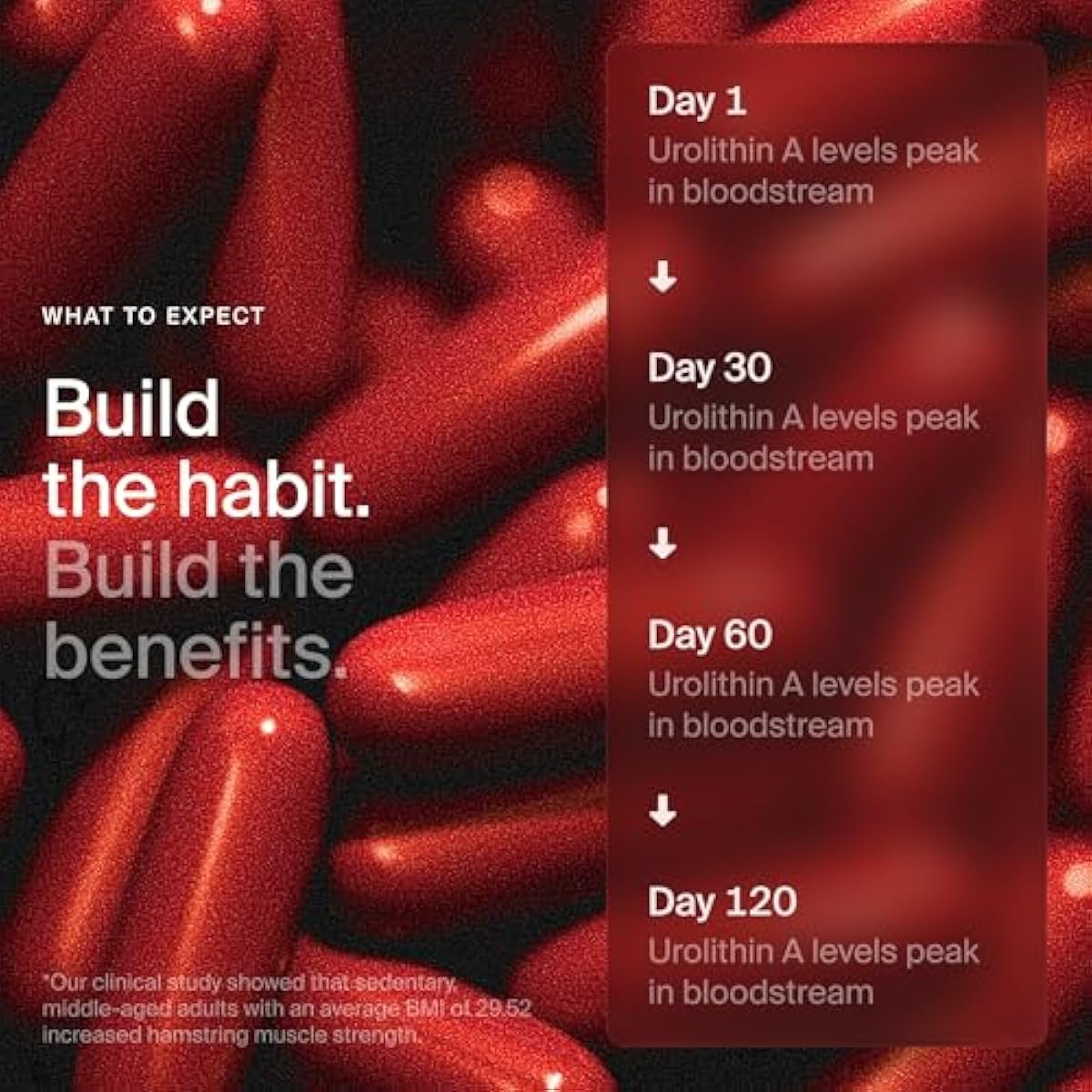 Timeline Mitopure Urolithin A Supplement Softgels - Clinically Proven Support for Healthy Aging and Cellular Renewal - Mitoceutical for Muscle Support and Longevity