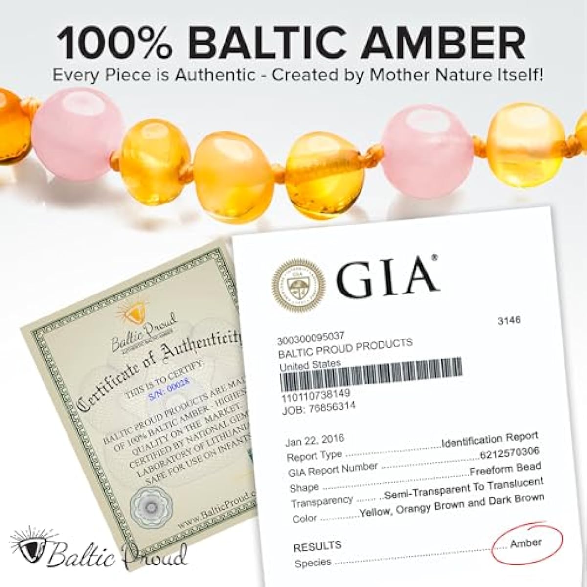 Baltic Proud Amber Necklace (Unisex Honey Rose Polished 12.5 Inches) - Certified Premium Quality Raw Baltic Sea Amber