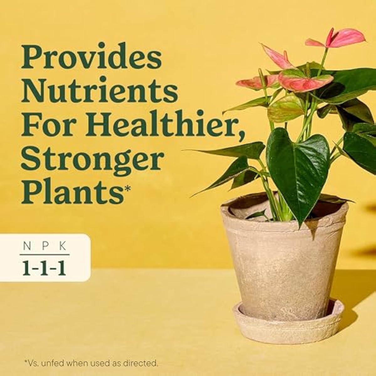 Miracle-Gro Indoor Plant Food for All Plants, Liquid Plant Food for Houseplants, Flowers, Vegetables, Herbs, and More, 8 fl. oz., 2-Pack