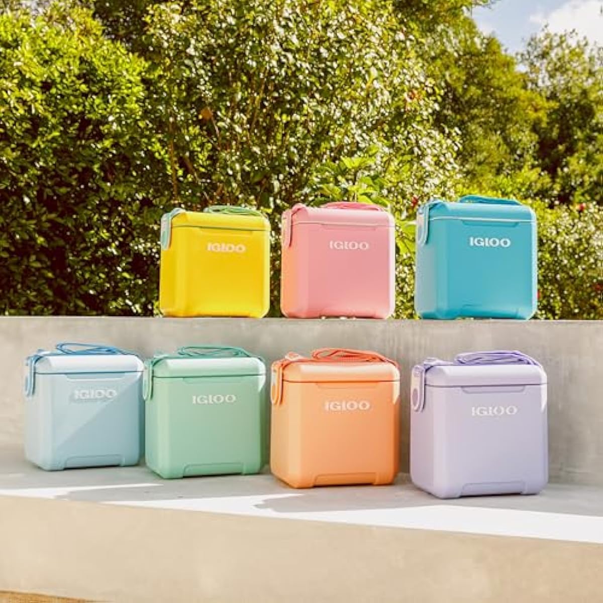 Igloo Tag Along Too Coolers | Insulated Hard Shell Picnic Style Cooler | Rolling Ice Chest