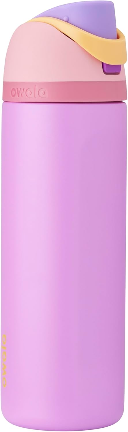 Owala Disney Princess FreeSip Insulated Stainless Steel Water Bottle with Straw for Sports and Travel, BPA-Free Sports Water Bottle, 24 oz, Cinderella