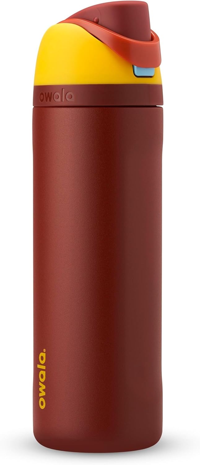 Owala Disney Princess FreeSip Insulated Stainless Steel Water Bottle with Straw for Sports and Travel, BPA-Free Sports Water Bottle, 24 oz, Cinderella