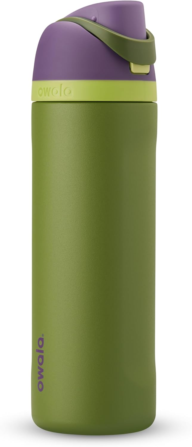Owala Disney Princess FreeSip Insulated Stainless Steel Water Bottle with Straw for Sports and Travel, BPA-Free Sports Water Bottle, 24 oz, Cinderella