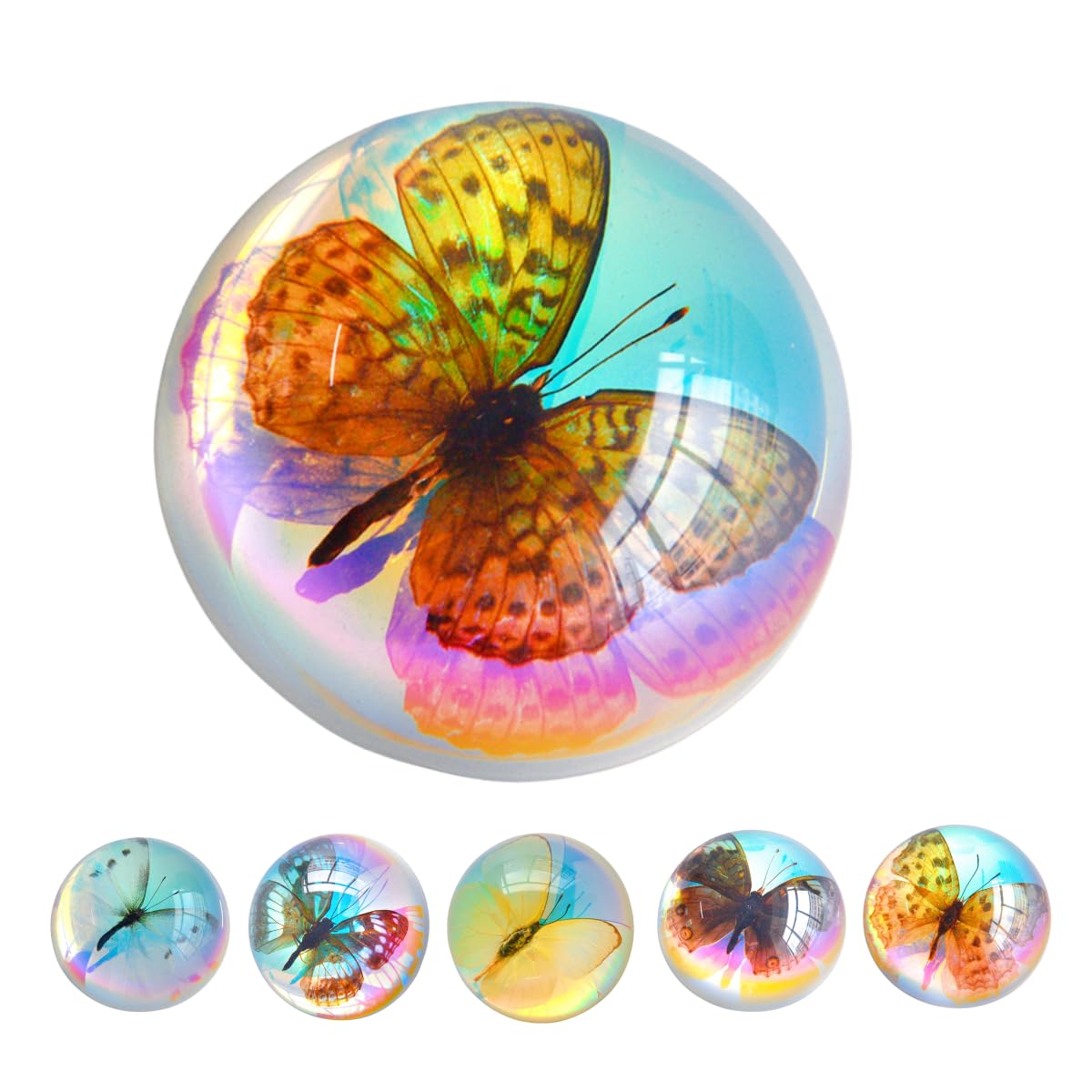 15 Insect specimens,Real Specimens of Various Butterflies and Beetles Made of Resin, Used for Science Classroom Science Education Animal Specimens, Bug Preserved,Oddities, Biology (15 Pcs Beetles)