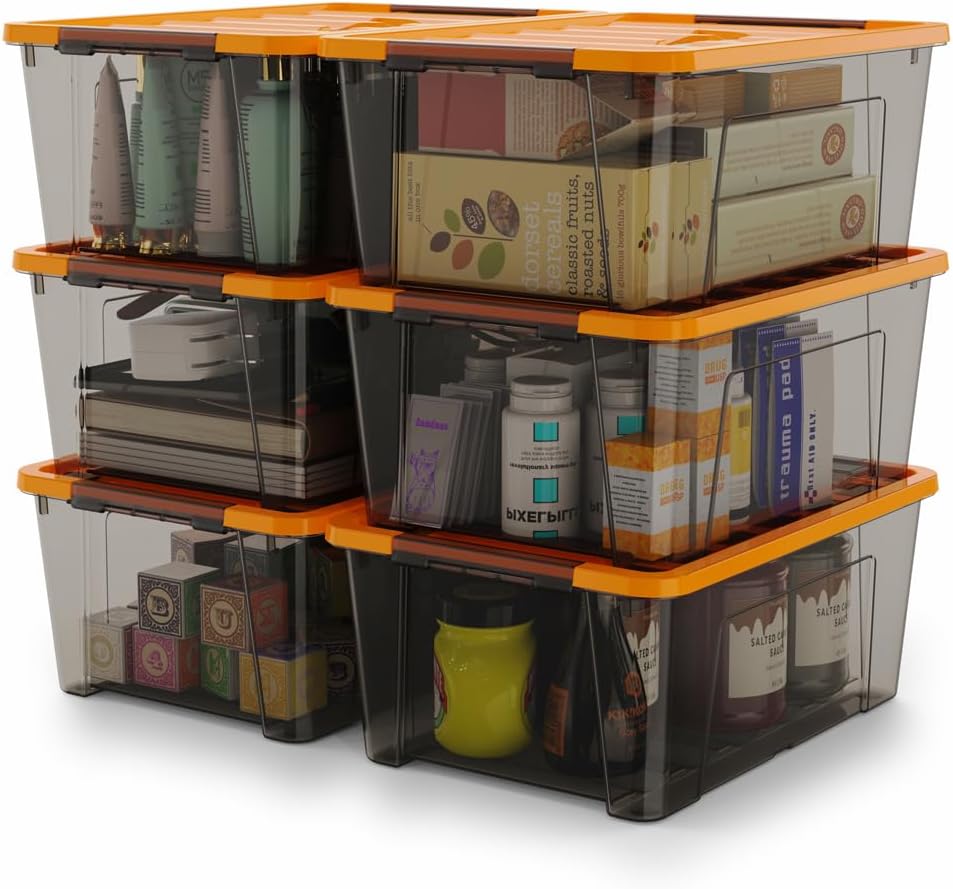 WYT Clear Storage Latch Bins, 6-Pack Storage Organizer Box with Handle and Lids, 5-Litre
