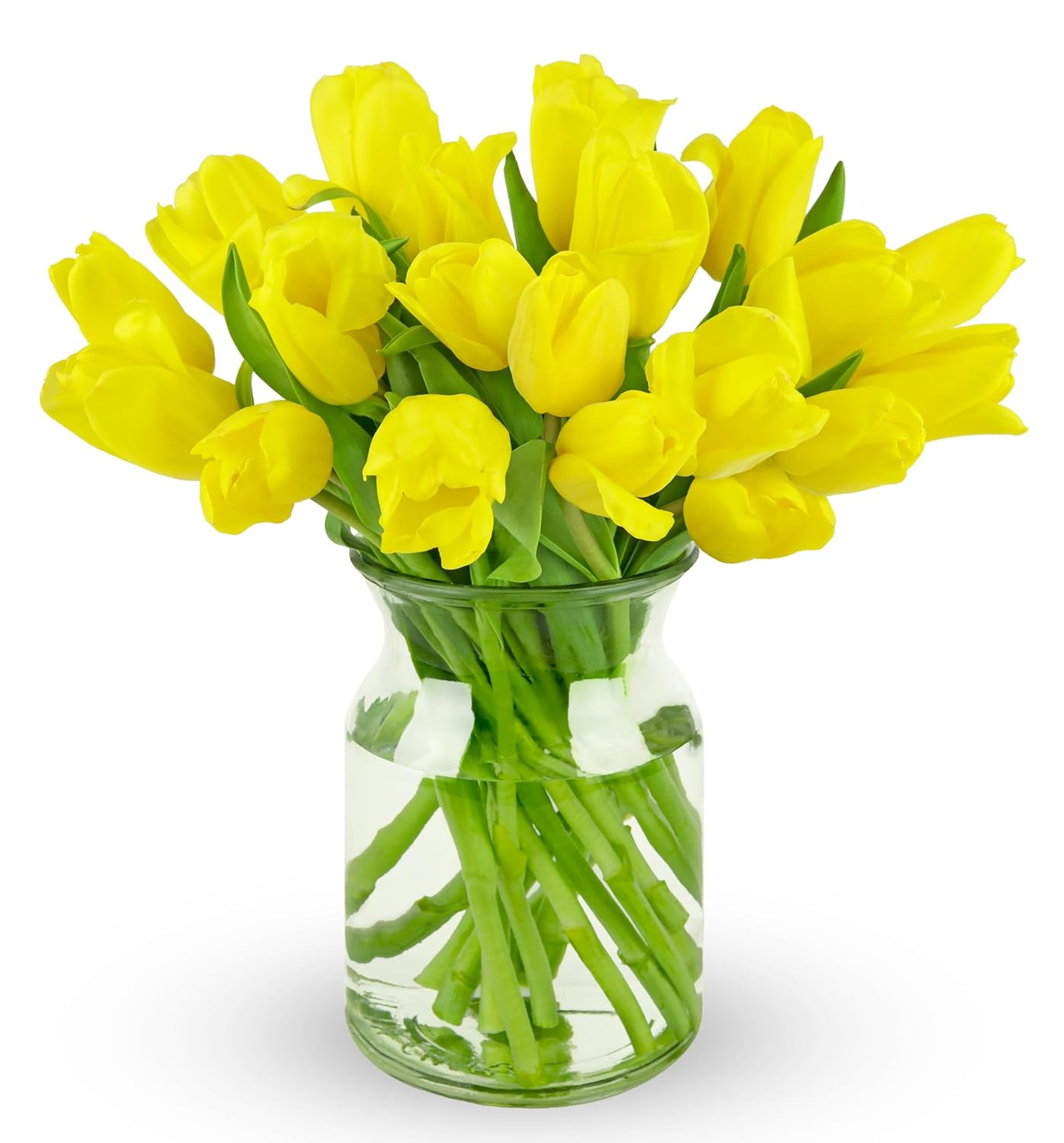 Benchmark Bouquets - Rainbow Tulips - Fresh Flowers for Delivery - Real Flowers - Birthday Flowers for Women - Birthday Flower Bouquet - Congratulations Gift - Glass Vase Included (20 Stems)