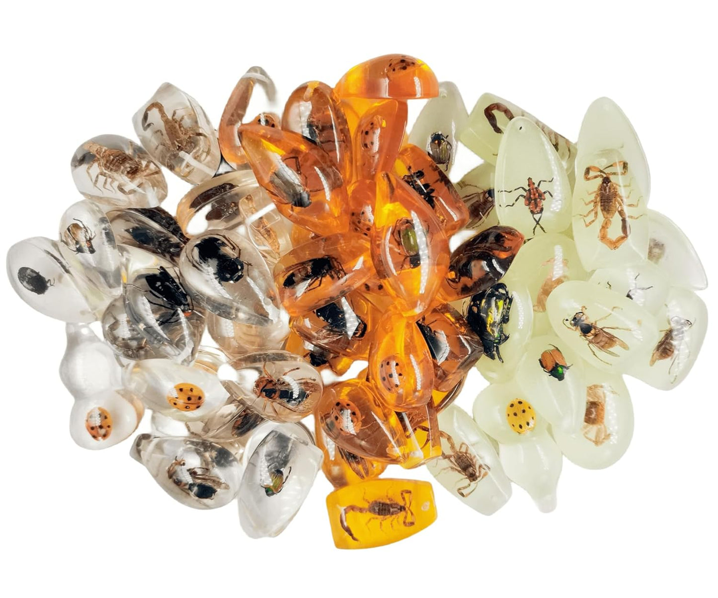 15 Insect specimens,Real Specimens of Various Butterflies and Beetles Made of Resin, Used for Science Classroom Science Education Animal Specimens, Bug Preserved,Oddities, Biology (15 Pcs Beetles)
