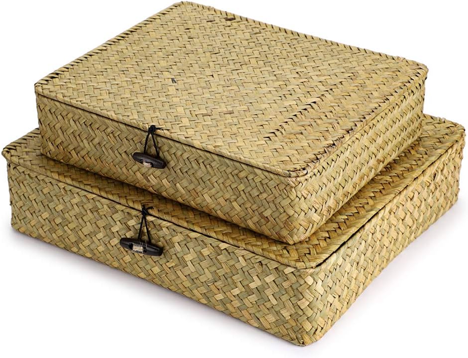 Hipiwe Set of 2 Flat Woven Wicker Storage Bins with Lid Natural Seagrass Basket Multipurpose Home Boxes for Shelf Organizer (Coffee)
