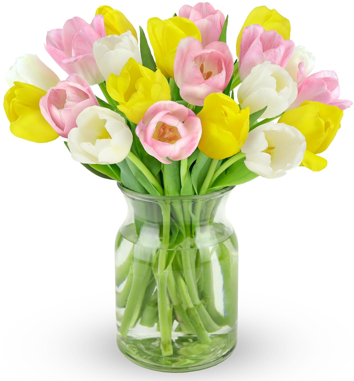 Benchmark Bouquets - Rainbow Tulips - Fresh Flowers for Delivery - Real Flowers - Birthday Flowers for Women - Birthday Flower Bouquet - Congratulations Gift - Glass Vase Included (20 Stems)