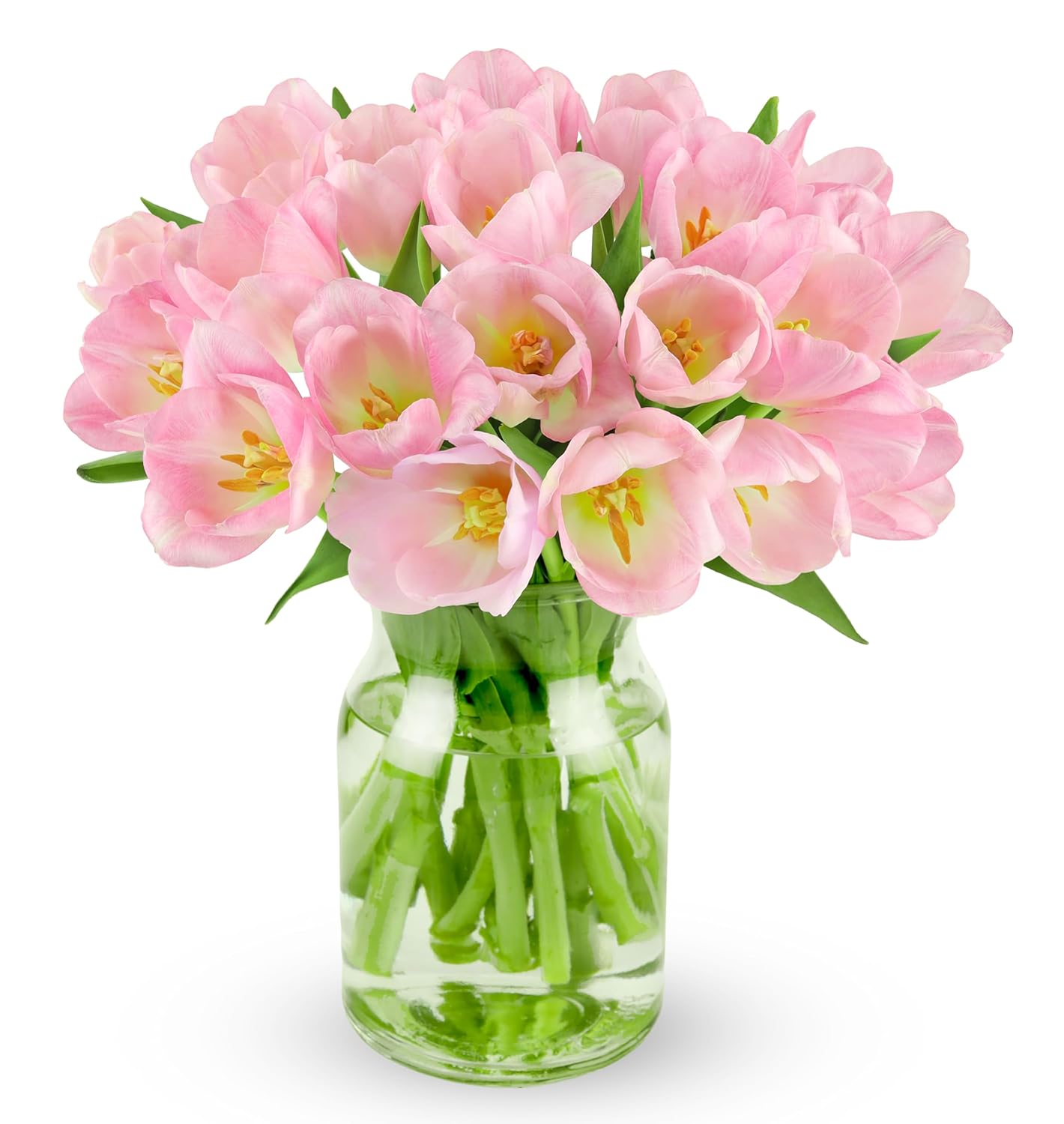 Benchmark Bouquets - Rainbow Tulips - Fresh Flowers for Delivery - Real Flowers - Birthday Flowers for Women - Birthday Flower Bouquet - Congratulations Gift - Glass Vase Included (20 Stems)