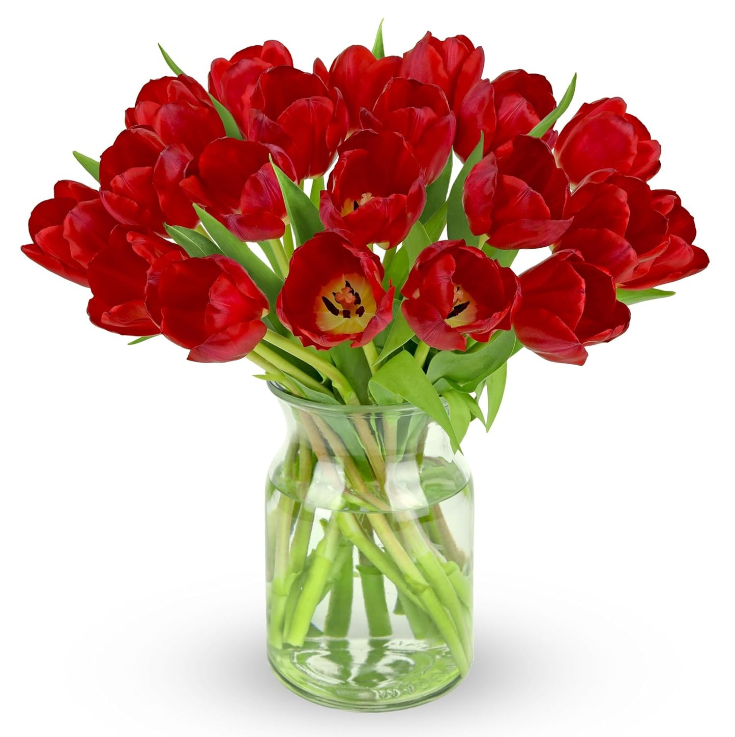 Benchmark Bouquets - Rainbow Tulips - Fresh Flowers for Delivery - Real Flowers - Birthday Flowers for Women - Birthday Flower Bouquet - Congratulations Gift - Glass Vase Included (20 Stems)