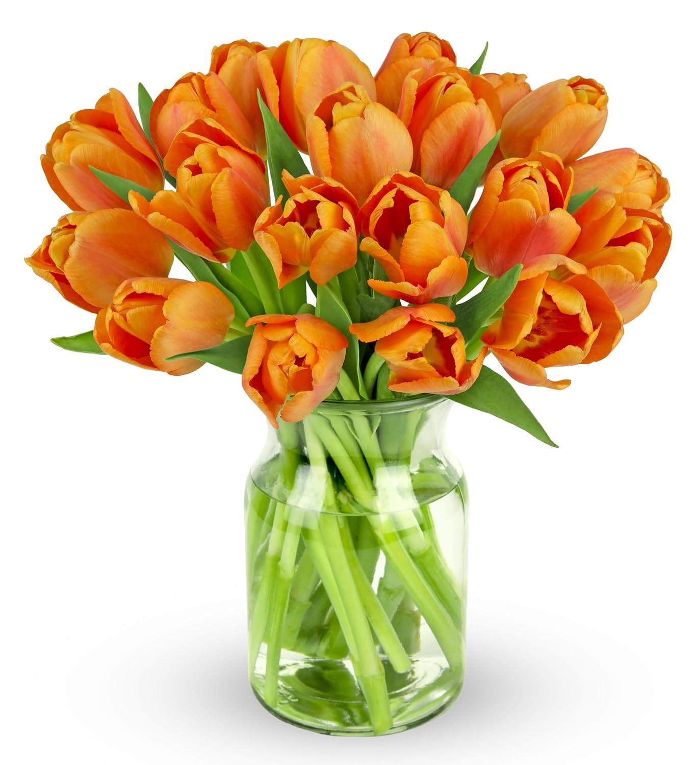 Benchmark Bouquets - Rainbow Tulips - Fresh Flowers for Delivery - Real Flowers - Birthday Flowers for Women - Birthday Flower Bouquet - Congratulations Gift - Glass Vase Included (20 Stems)